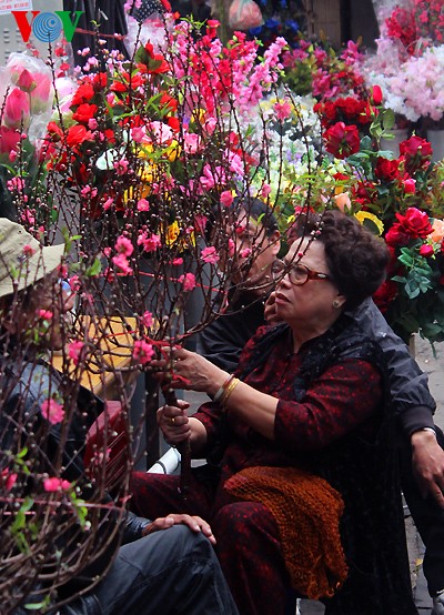 Peach trees in full bloom for Tet - ảnh 8